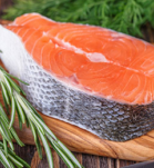 salmon