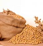 soya