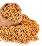 soya