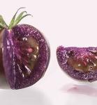 tomate morado