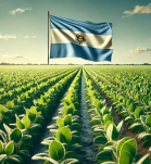productos biotecnológicos, soya, transgénicos, Argentina