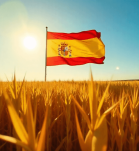 alimentos transgénicos