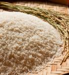 fertilización del arroz