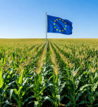 edición genética en Europa para la agricultura