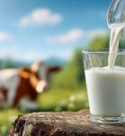 Proteína de leche