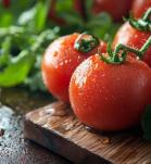 Tomates resistentes al frío