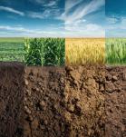 coexistencia en la agricultura