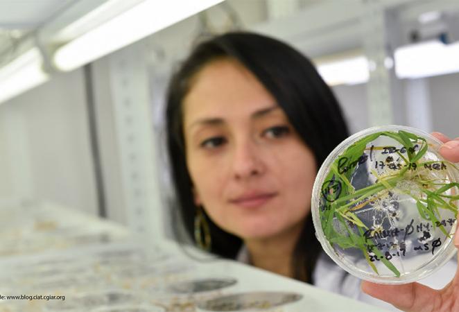 Mujer cientifica analizando un cultivo