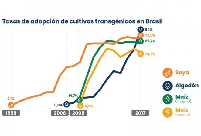 grafico