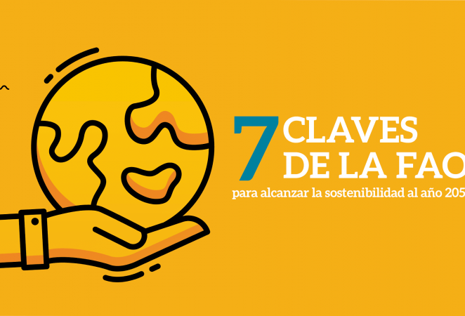 7 claves de la FAO para alcanzar la sostenibilidad