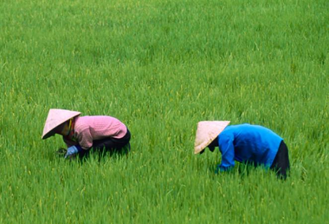 mujeres