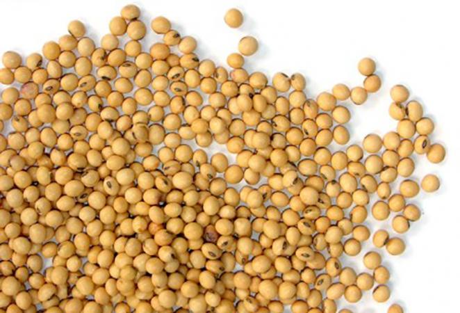 soya