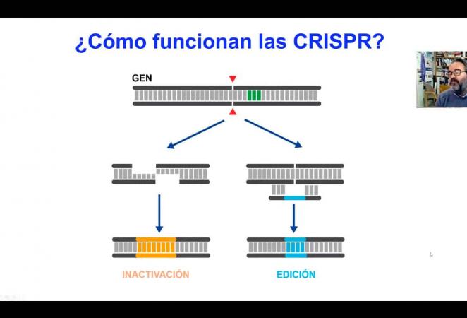 Video explicando que es el CRISPR