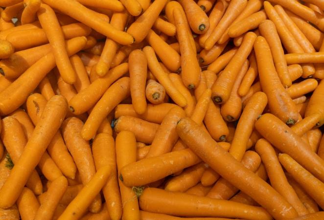 Buscan mejorar genéticamente la zanahoria y la cebolla.