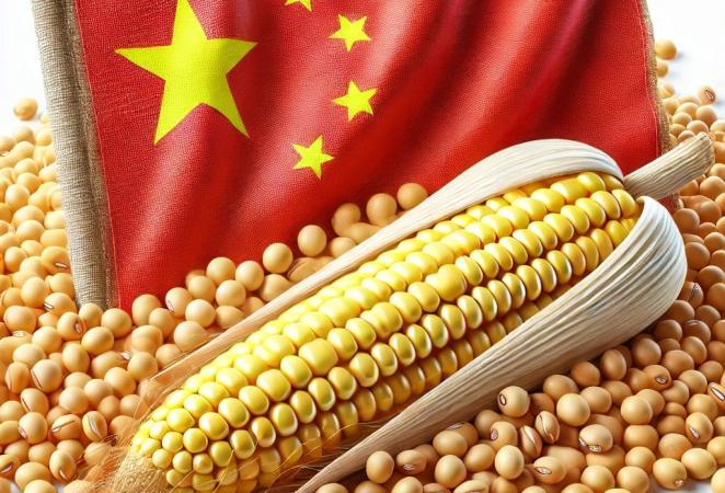 Cultivos transgénicos en China