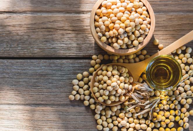 soya transgénica podrá ser importada en Pakistán