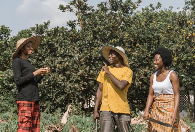 Cultivos transgénicos son permitidos en Kenia por Tribunal