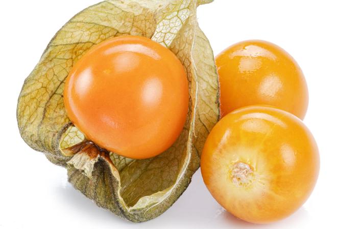 uchuva editada geneticamente