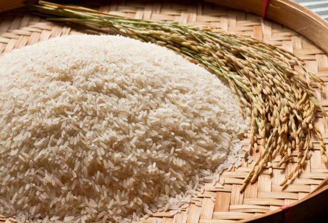 fertilización del arroz