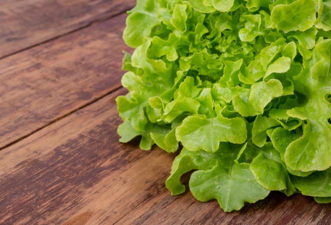 Carne vegetal