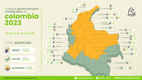 Mapa cultivos transgénicos en Colombia