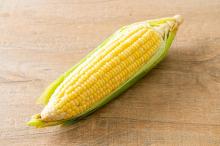 Modificación de un cromosoma del teosinte podría aumentar la proteína en el maíz