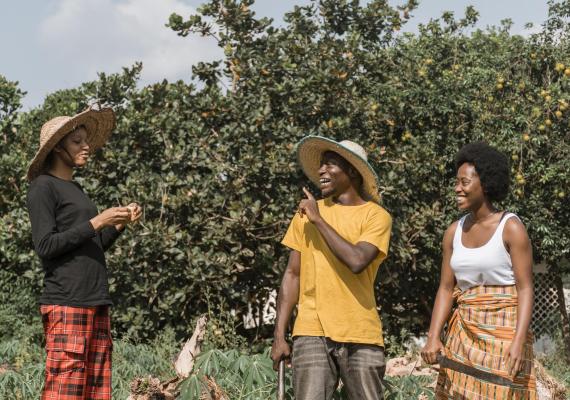 Cultivos transgénicos son permitidos en Kenia por Tribunal